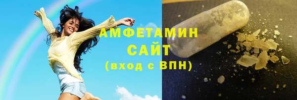 PSILOCYBIN Ельня