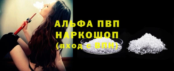 сатива Няндома
