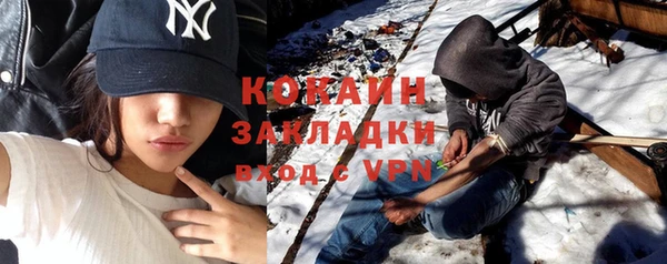 сатива Няндома